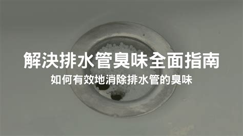 廁所異味處理|浴室、廁所排水管有臭味？3大原因、解決方法一次懂